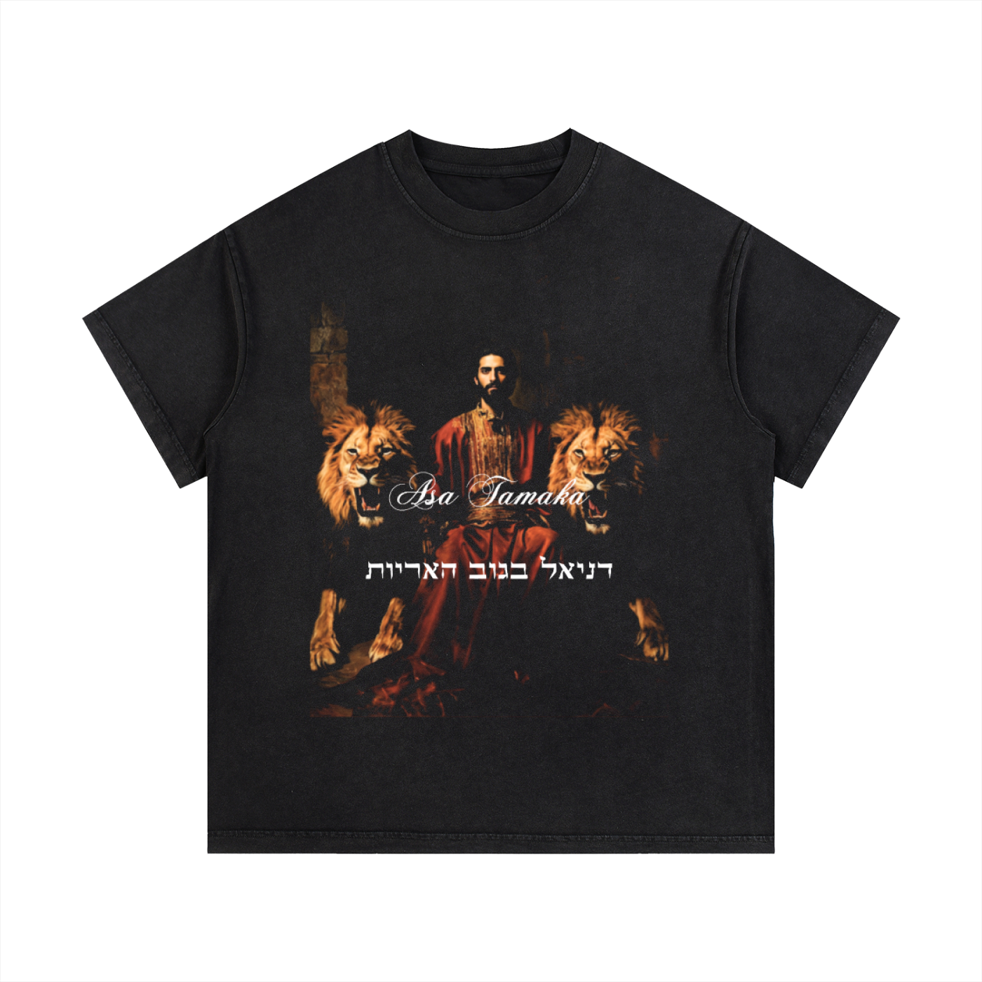 Vintage Wash Tee - Daniel In The Lions' Den